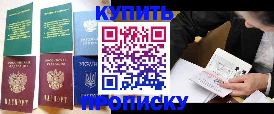 прописка для школы в Обояни